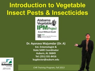 Introduction to Vegetable
Insect Pests & Insecticides

Dr. Ayanava Majumdar (Dr. A)
Ext. Entomologist &
State SARE Coordinator
Auburn, AL 36849
Tel: (251) 331-8416
bugdoctor@auburn.edu
CHR Training Program, Fall 2013

 