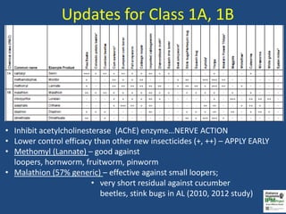 Vegetable Insecticide Update for Retailers | PPTX