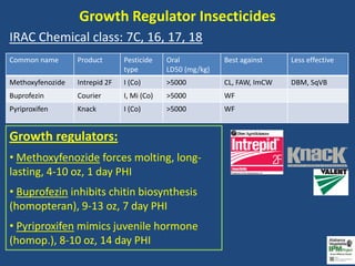 Vegetable Insecticide Update for Retailers | PPTX
