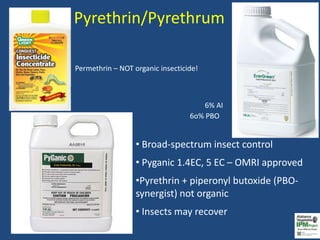 Vegetable Insecticide Update for Retailers | PPTX