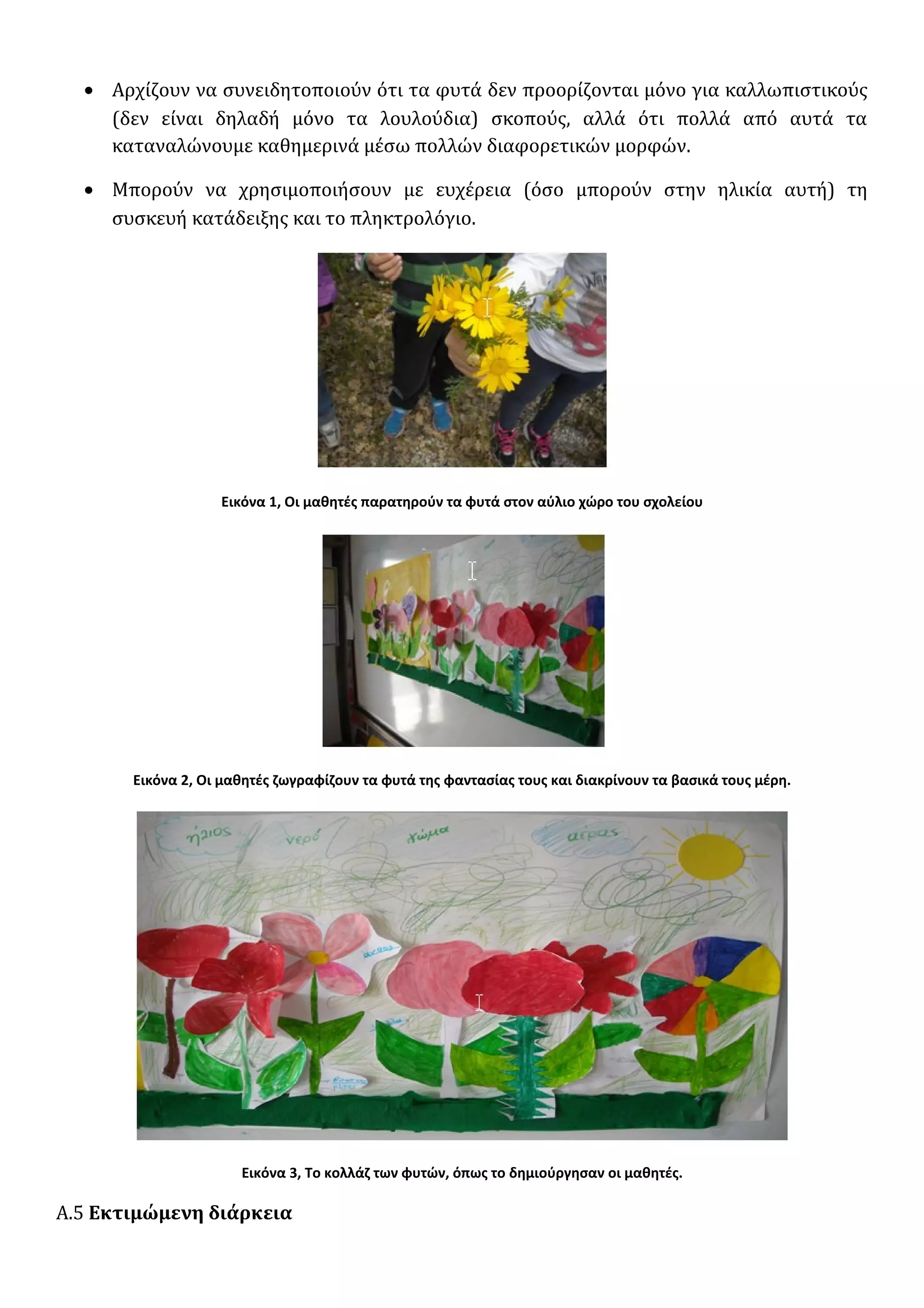• Αρχίζουν να συνειδητοποιούν ότι τα φυτά δεν προορίζονται μόνο για καλλωπιστικούς
(δεν είναι δηλαδή μόνο τα λουλούδια) σκοπούς, αλλά ότι πολλά από αυτά τα
καταναλώνουμε καθημερινά μέσω πολλών διαφορετικών μορφών.
• Μπορούν να χρησιμοποιήσουν με ευχέρεια (όσο μπορούν στην ηλικία αυτή) τη
συσκευή κατάδειξης και το πληκτρολόγιο.
Εικόνα 1, Οι μαθητές παρατηρούν τα φυτά στον αύλιο χώρο του σχολείου
Εικόνα 2, Οι μαθητές ζωγραφίζουν τα φυτά της φαντασίας τους και διακρίνουν τα βασικά τους μέρη.
Εικόνα 3, Το κολλάζ των φυτών, όπως το δημιούργησαν οι μαθητές.
Α.5 Εκτιμώμενη διάρκεια
 