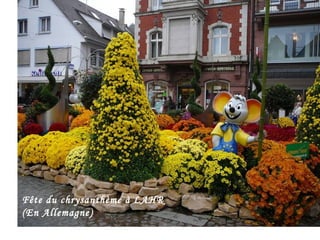 Fête du chrysanthème à LAHR
(En Allemagne)
 