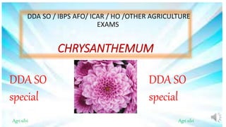 CHRYSANTHEMUM
DDA SO / IBPS AFO/ ICAR / HO /OTHER AGRICULTURE
EXAMS
Agri silvi Agri silvi
DDA SO
special
DDA SO
special
 