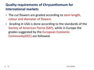 greenhouse cultivations of chrysanthemum | PPTX