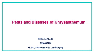 Pests and Diseases of Chrysanthemum
PERUMAL, R.
2016603110
M. Sc., Floriculture & Landscaping
 