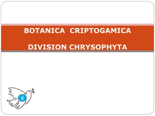 BOTANICA  CRIPTOGAMICA DIVISION CHRYSOPHYTA K 