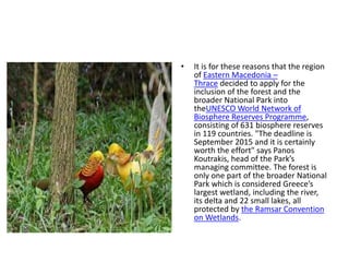 • It is for these reasons that the region
of Eastern Macedonia –
Thrace decided to apply for the
inclusion of the forest and the
broader National Park into
theUNESCO World Network of
Biosphere Reserves Programme,
consisting of 631 biosphere reserves
in 119 countries. "The deadline is
September 2015 and it is certainly
worth the effort" says Panos
Koutrakis, head of the Park’s
managing committee. The forest is
only one part of the broader National
Park which is considered Greece’s
largest wetland, including the river,
its delta and 22 small lakes, all
protected by the Ramsar Convention
on Wetlands.
 