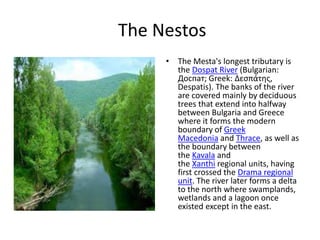 The Nestos
• The Mesta's longest tributary is
the Dospat River (Bulgarian:
Доспат; Greek: Δεσπάτης,
Despatis). The banks of the river
are covered mainly by deciduous
trees that extend into halfway
between Bulgaria and Greece
where it forms the modern
boundary of Greek
Macedonia and Thrace, as well as
the boundary between
the Kavala and
the Xanthi regional units, having
first crossed the Drama regional
unit. The river later forms a delta
to the north where swamplands,
wetlands and a lagoon once
existed except in the east.
 