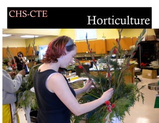 Street Law at the courthouse

Digital Design projects

 