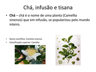 Chá, infusão e tisana
• Chá – chá é o nome de uma planta (Camellia
sinensis) que em infusão, se popularizou pelo mundo
int...