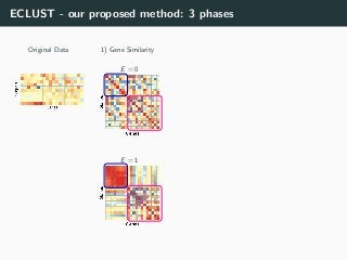 ECLUST - our proposed method: 3 phases
Original Data
E = 0
1) Gene Similarity
E = 1
 