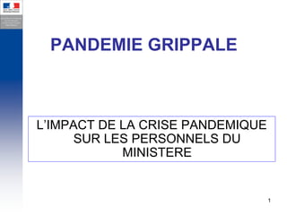 PANDEMIE GRIPPALE



L’IMPACT DE LA CRISE PANDEMIQUE
      SUR LES PERSONNELS DU
            MINISTERE


                                  1
 