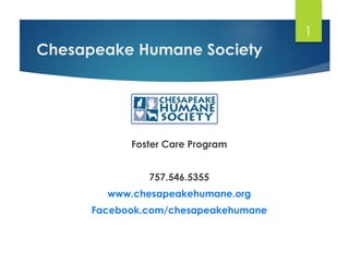 Chesapeake Humane Society
Foster Care Program
757.546.5355
www.chesapeakehumane.org
Facebook.com/chesapeakehumane
1
 