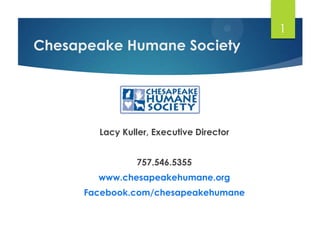 1

Chesapeake Humane Society

Lacy Kuller, Executive Director
757.546.5355
www.chesapeakehumane.org

Facebook.com/chesapeakehumane

 