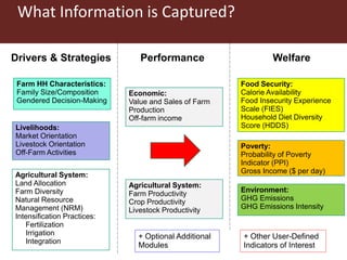Farm HH Characteristics:
Family Size/Composition
Gendered Decision-Making
Agricultural System:
Land Allocation
Farm Diversity
Natural Resource
Management (NRM)
Intensification Practices:
Fertilization
Irrigation
Integration
Livelihoods:
Market Orientation
Livestock Orientation
Off-Farm Activities
Drivers & Strategies Welfare
Food Security:
Calorie Availability
Food Insecurity Experience
Scale (FIES)
Household Diet Diversity
Score (HDDS)
Poverty:
Probability of Poverty
Indicator (PPI)
Gross Income ($ per day)
Environment:
GHG Emissions
GHG Emissions Intensity
+ Other User-Defined
Indicators of Interest
Agricultural System:
Farm Productivity
Crop Productivity
Livestock Productivity
Economic:
Value and Sales of Farm
Production
Off-farm income
Performance
+ Optional Additional
Modules
What Information is Captured?
 