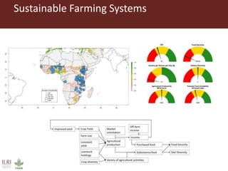 Efficient data collection from rural households – is RHOMIS for you?