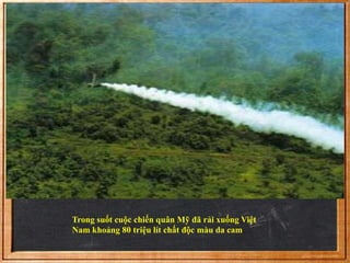 Trong suốt cuộc chiến quân Mỹ đã rải xuống Việt 
Nam khoảng 80 triệu lít chất độc màu da cam.. 
 