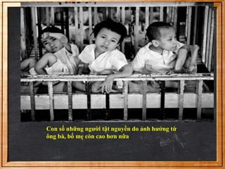 Con số những người tật nguyền do ảnh hưởng từ 
ông bà, bố mẹ còn cao hơn nữa. 
 