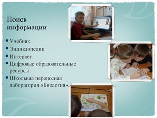 Поиск
информации
Учебник
Энциклопедии
Интернет
Цифровые образовательные
ресурсы
Школьная переносная
лаборатория «Биология»
 