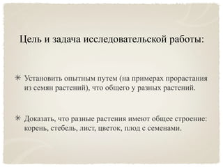 Цель и задача исследовательской работы:
Установить опытным путем (на примерах прорастания
из семян растений), что общего у разных растений.
Доказать, что разные растения имеют общее строение:
корень, стебель, лист, цветок, плод с семенами.
 