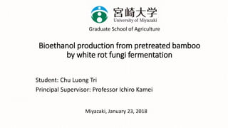 Bioethanol production from pretreated bamboo
by white rot fungi fermentation
Student: Chu Luong Tri
Principal Supervisor: Professor Ichiro Kamei
Graduate School of Agriculture
Miyazaki, January 23, 2018
 