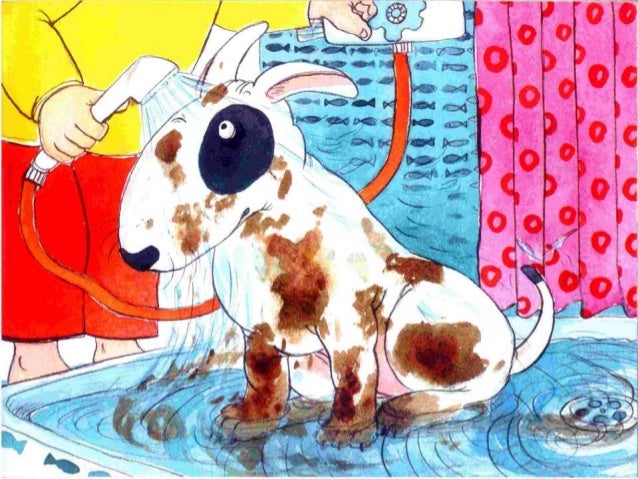 Chua, chua, tchibum. um livro sobre a Ã¡gua