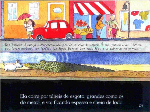 Chua, chua, tchibum. um livro sobre a Ã¡gua