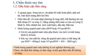 Chuẩn đoán và điều trị suy tim mạn | PPT