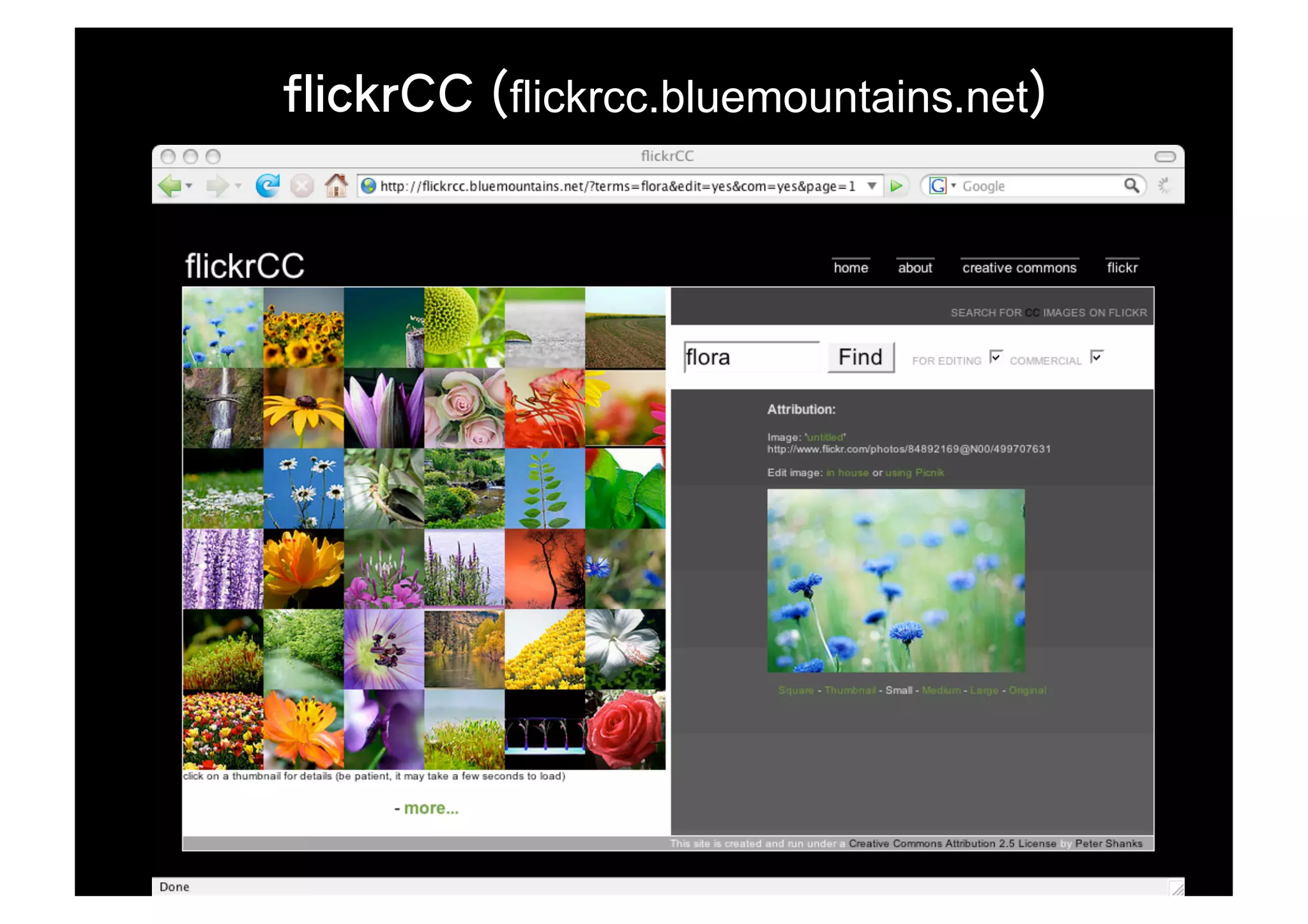 flickrcc.bluemountains.net
 