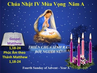 Chúa Nhật IV Mùa Vọng Năm A

Gospel
Matthew
THIÊN CHÚA SINH RA
1,18-24
BỞI NGƯỜI NỮ
Phúc Âm theo
Thánh Matthew
1,18-24
Fourth Sunday of Advent - Year A

 