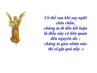 Có thể sau khi suy nghĩ  chín chắn,  chúng ta đi đến kết luận  là điều này có liên quan  đến nguyên tắc :  chúng ta gieo nhân nào  thì sẽ   gặt quả nấy. » 