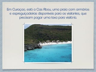Em Curaçao, está a Cas Abou, uma praia com armários
 e espreguiçadeiras disponíveis para os visitantes, que
       precisam pagar uma taxa para visitá-la.
 
