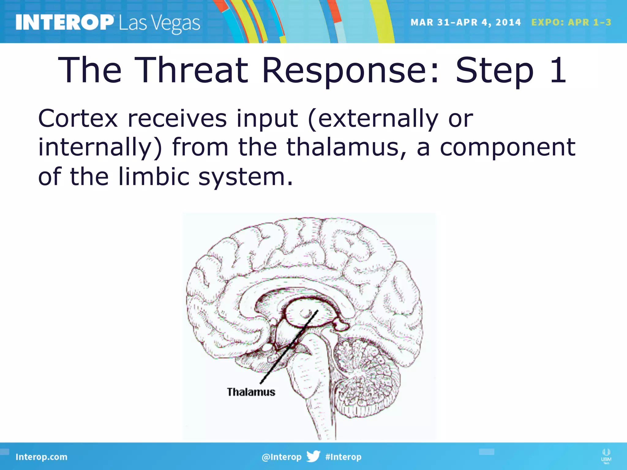 The Threat Response: Step 1
Cortex receives input (externally or
internally) from the thalamus, a component
of the limbic system.
 