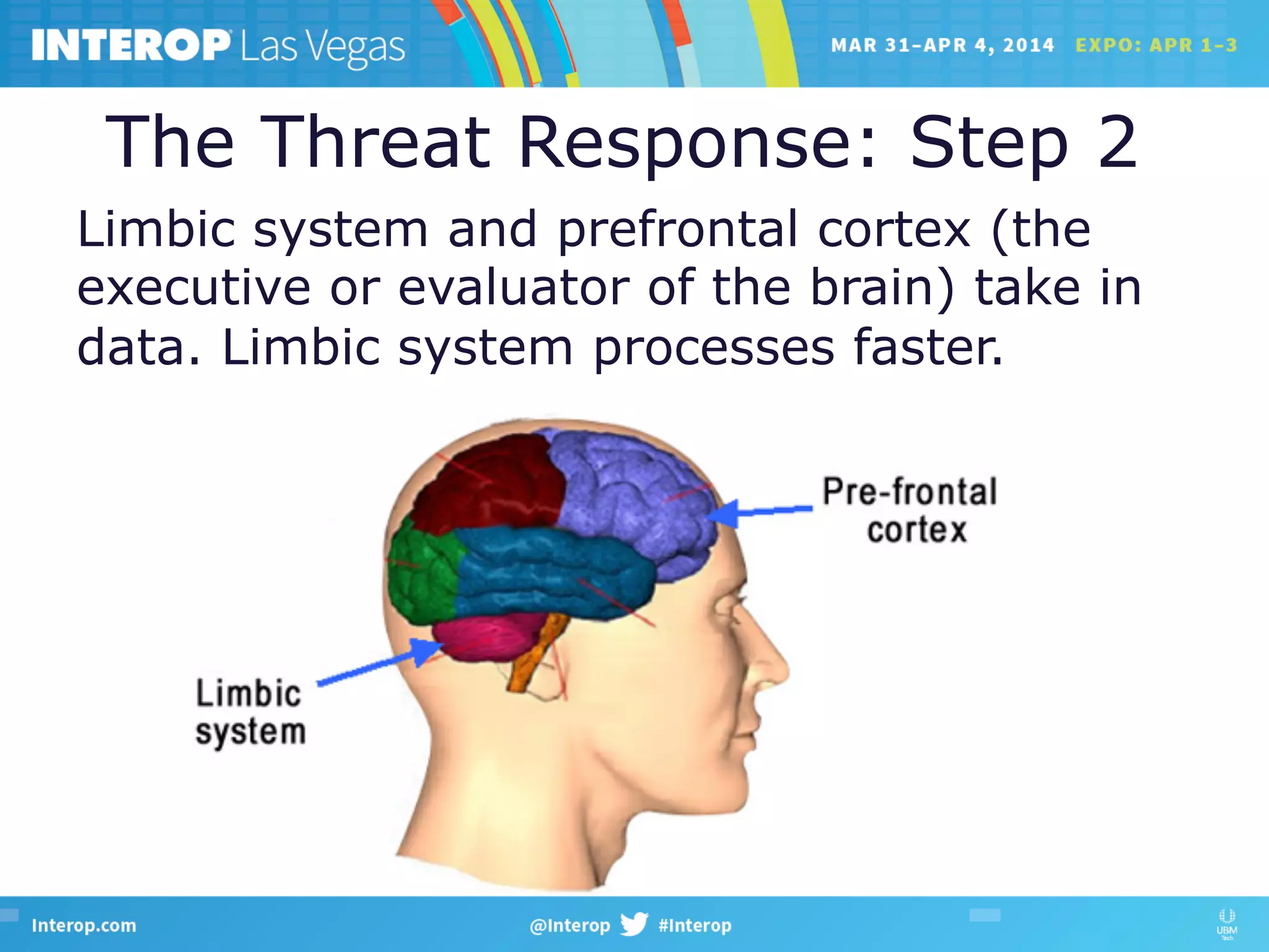 The Threat Response: Step 2
Limbic system and prefrontal cortex (the
executive or evaluator of the brain) take in
data. Limbic system processes faster.
 
