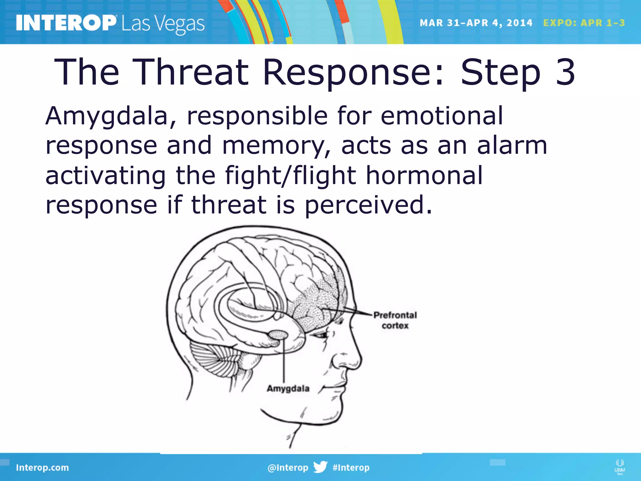 The Threat Response: Step 3
Amygdala, responsible for emotional
response and memory, acts as an alarm
activating the fight/flight hormonal
response if threat is perceived.
 