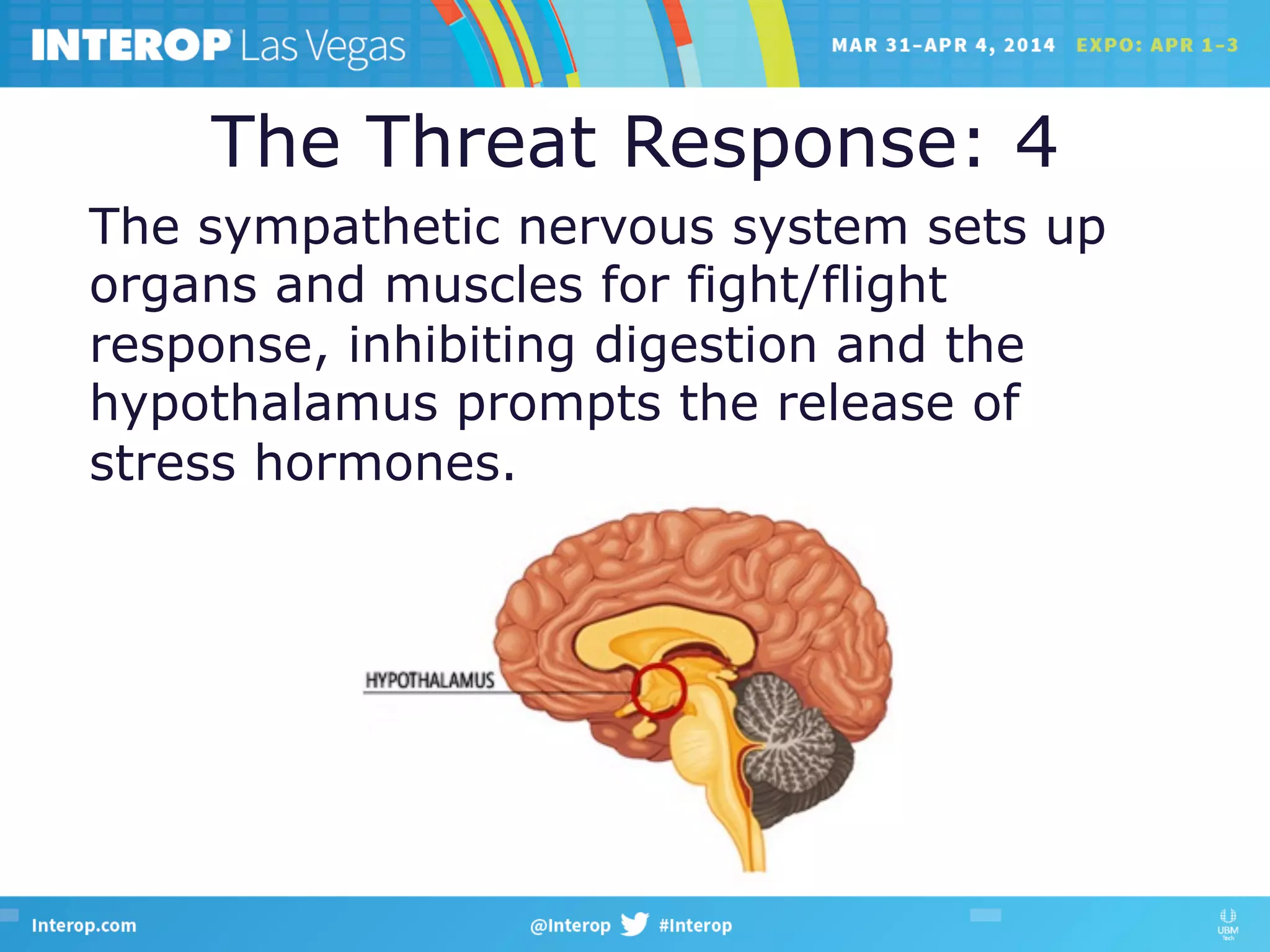 The Threat Response: 4
The sympathetic nervous system sets up
organs and muscles for fight/flight
response, inhibiting digestion and the
hypothalamus prompts the release of
stress hormones.
 