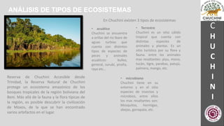 CHUCHINI-1.pptx