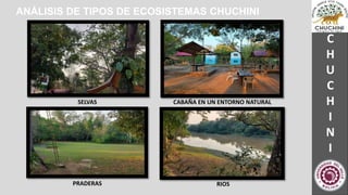 CHUCHINI-1.pptx