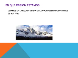 EN QUE REGION ESTAMOS
ESTAMOS EN LA REGION SIERRA EN LA COORDILLERA DE LOS ANDES
ES MUY FRIO
 