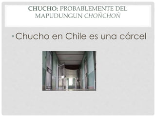 CHUCHO: PROBABLEMENTE DEL
MAPUDUNGUN CHOÑCHOÑ
•Chucho en Chile es una cárcel
 