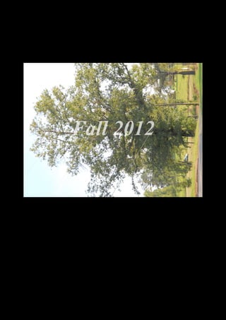 Fall 2012




  DSCN0022.JPG
 