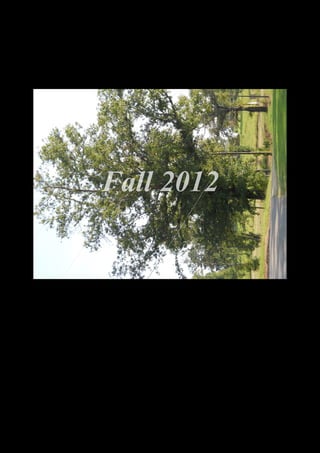 Fall 2012




  DSCN0023.JPG
 