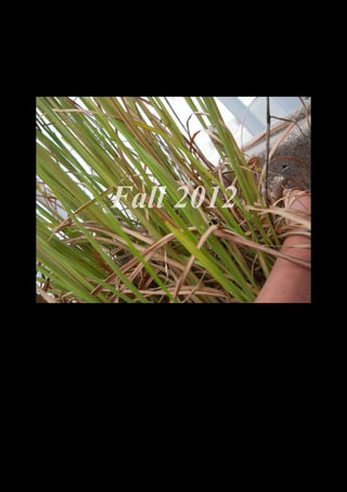 Fall 2012




  DSCN0028.JPG
 