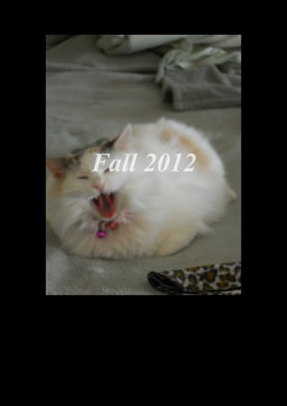 Fall 2012




  DSCN0295.JPG
 