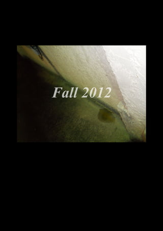 Fall 2012




  DSCN0477.JPG
 