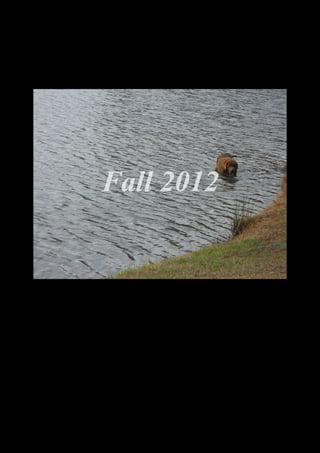 Fall 2012




  DSCN0504.JPG
 