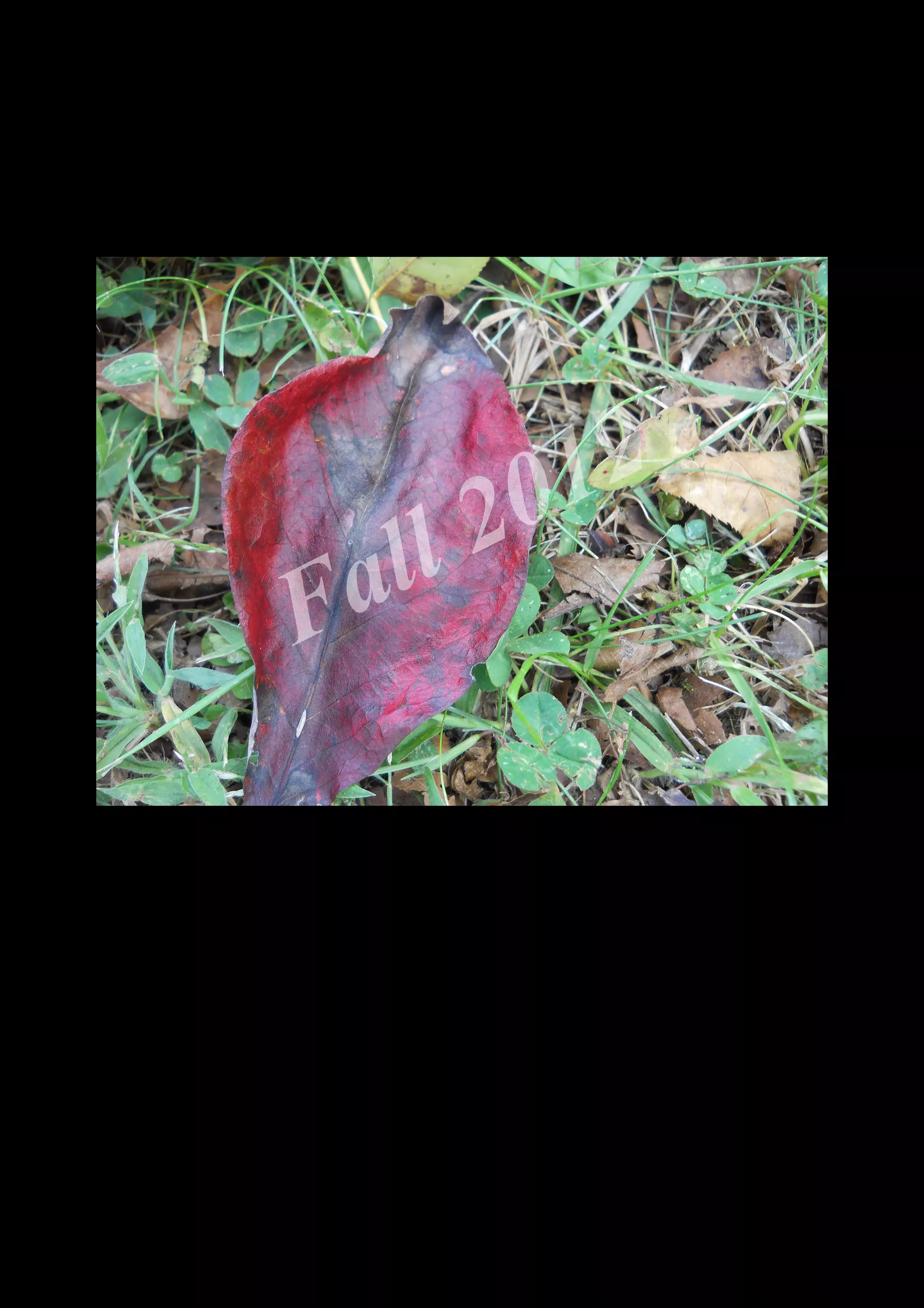 2 0 12
 a ll
F


    DSCN0087.JPG
 