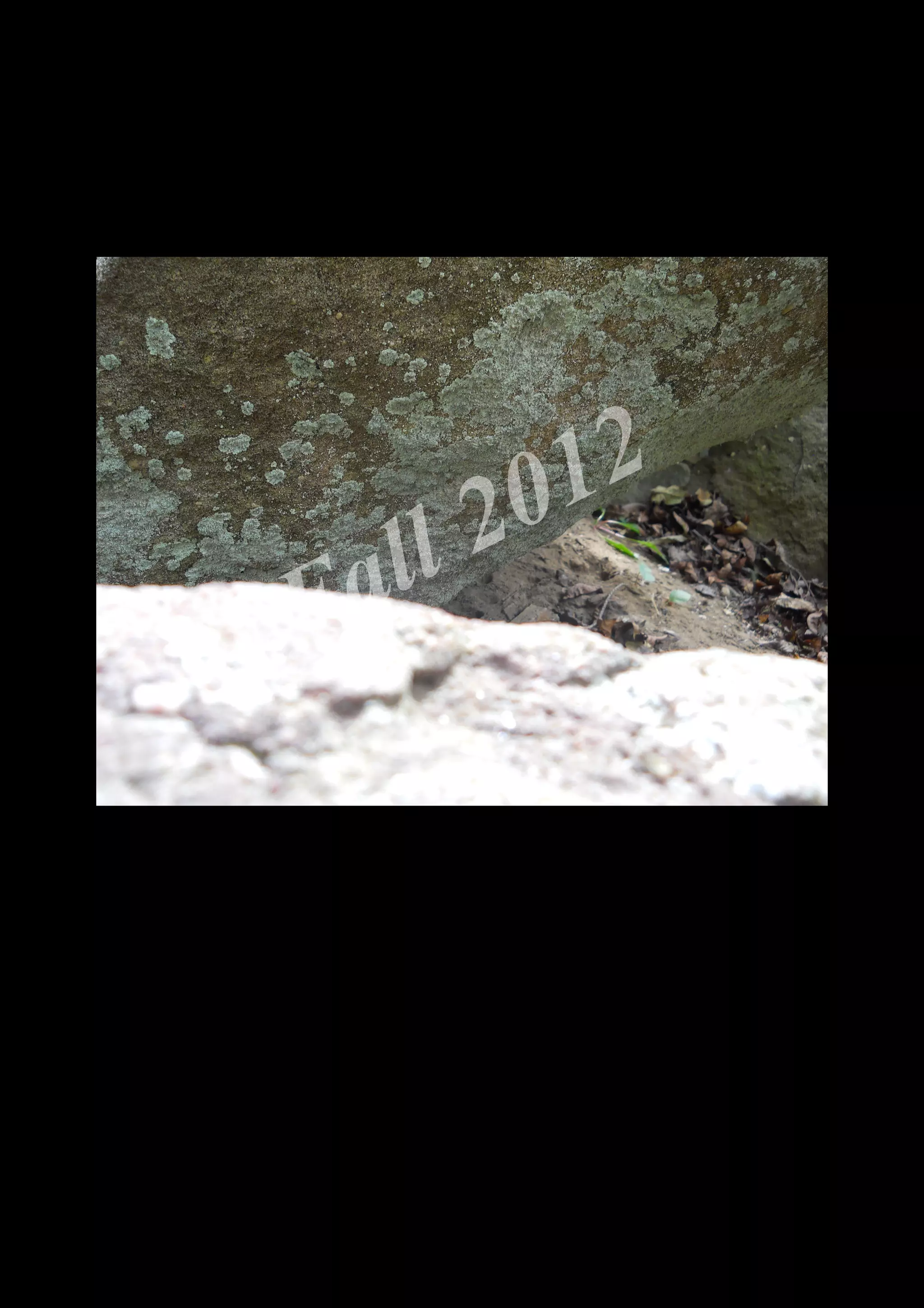 2 0 12
 a ll
F


    DSCN0088.jpg
 