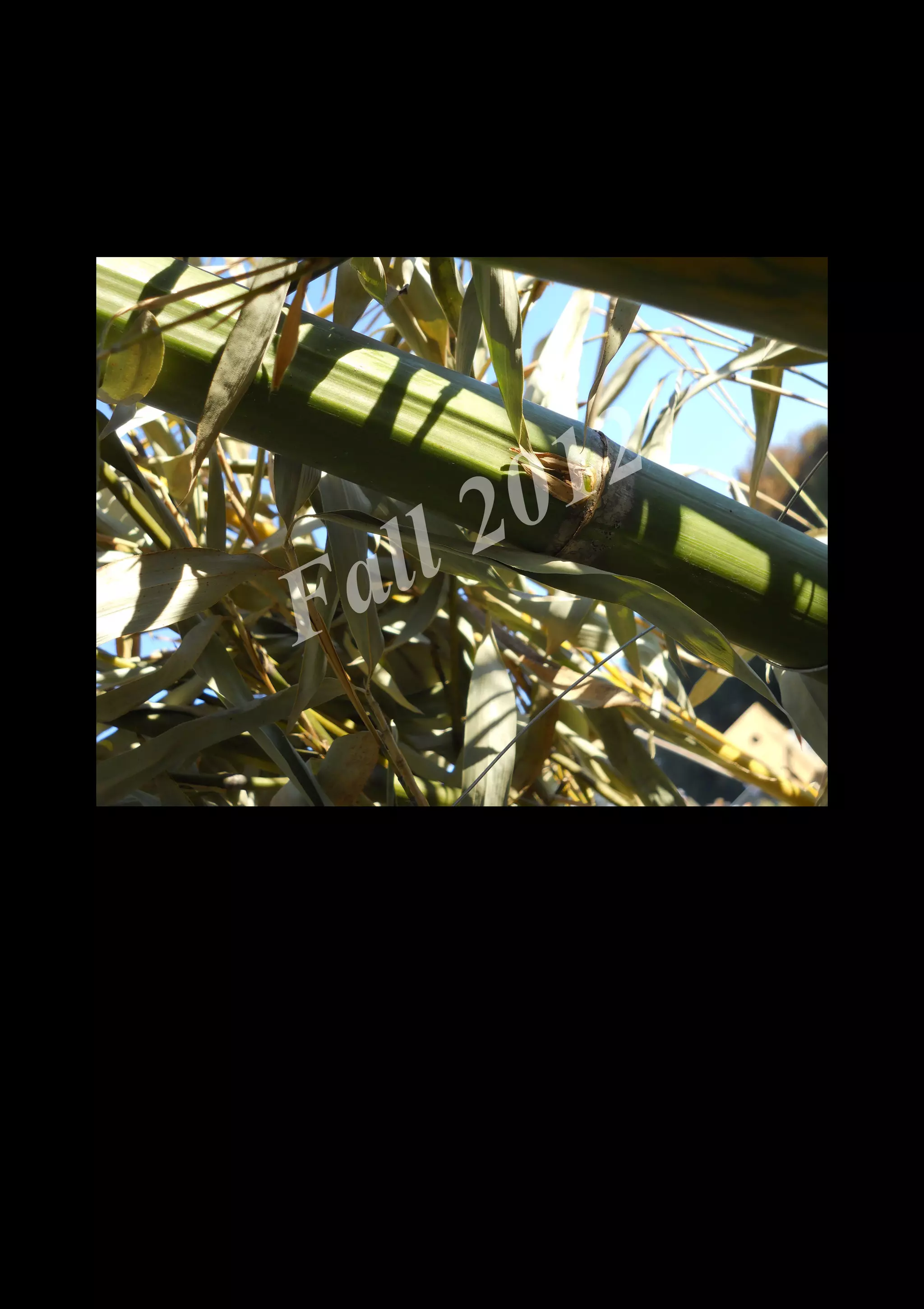 2 0 12
 a ll
F


    DSCN0362.JPG
 