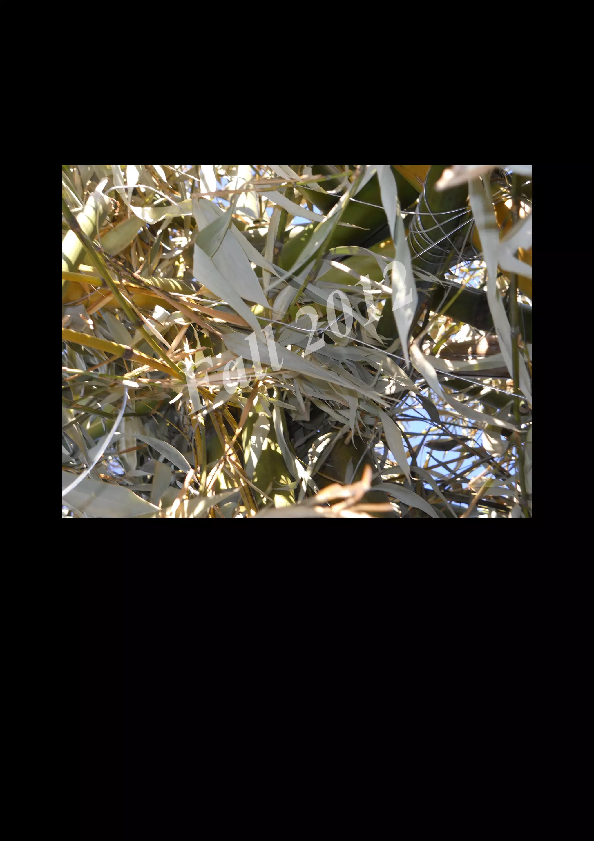 2 0 12
 a ll
F


    DSCN0363.JPG
 